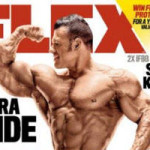 flex-magazine